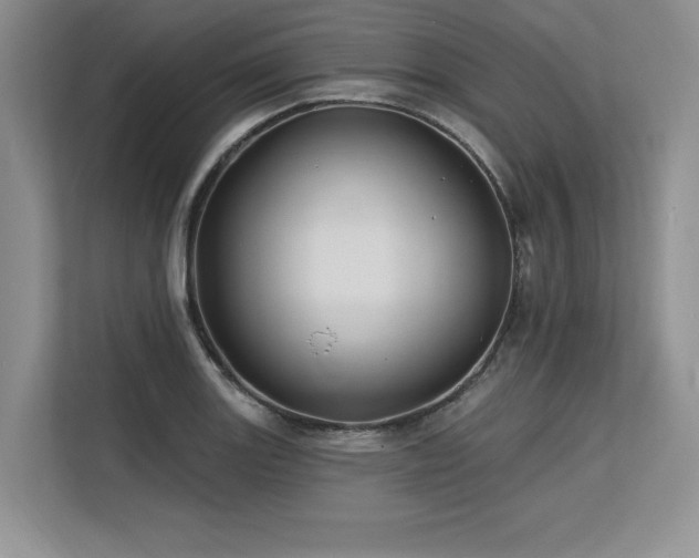 X0000113581131200909181302