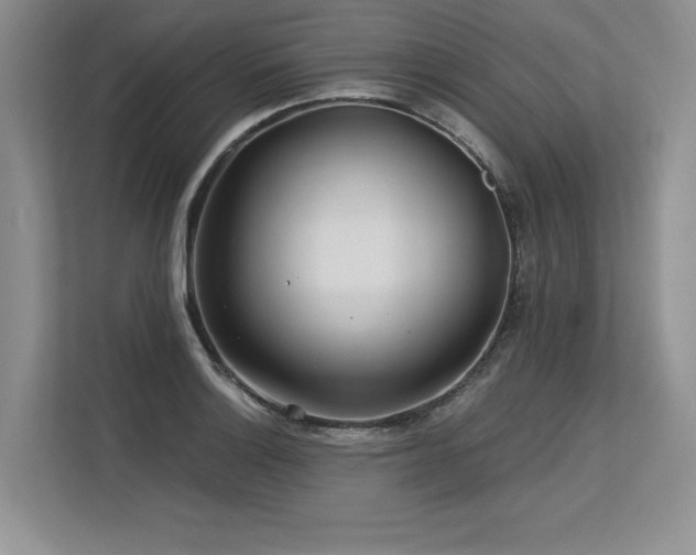 X0000113581132200909181302