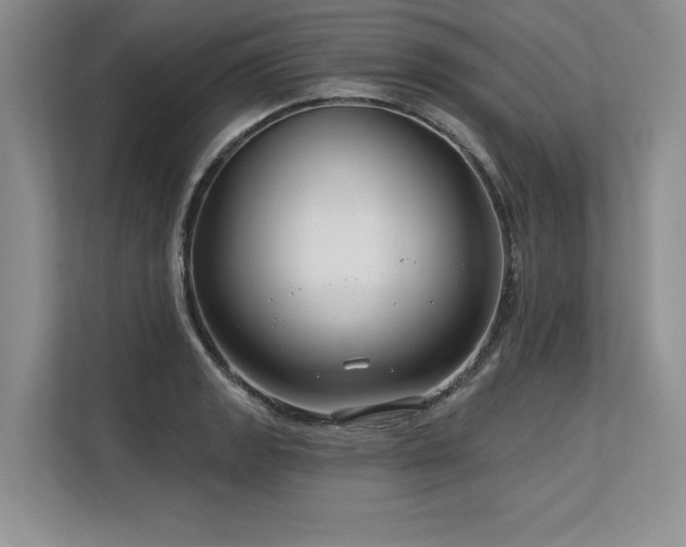 X0000113581133200909181302