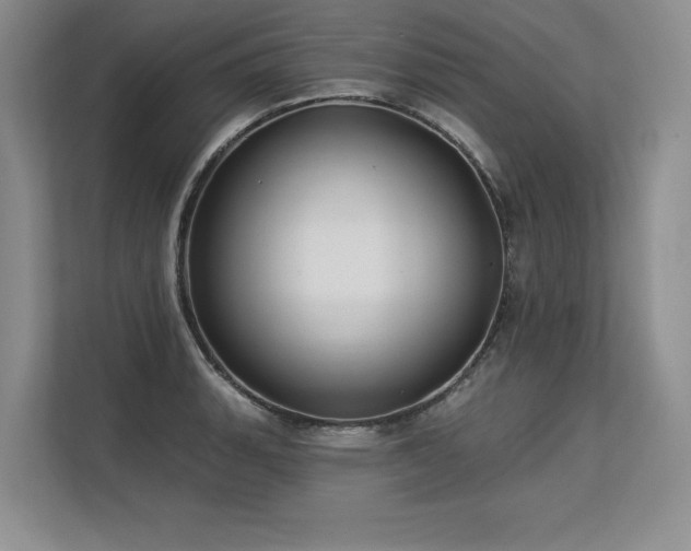 X0000113581135200909181302