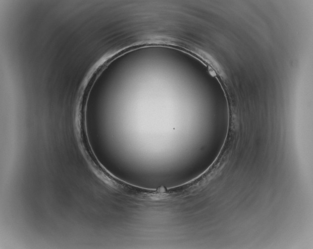 X0000113581136200909181302