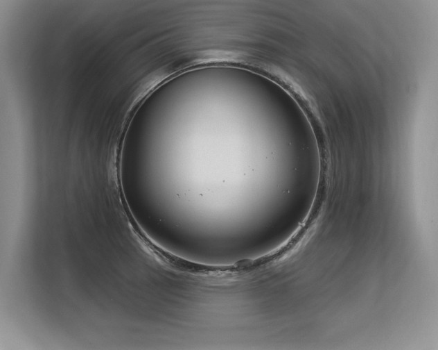 X0000113581137200909181302