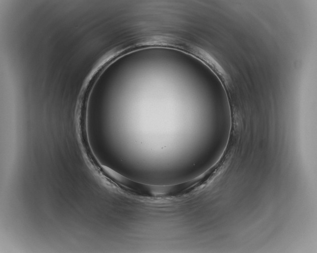 X0000113581138200909181302