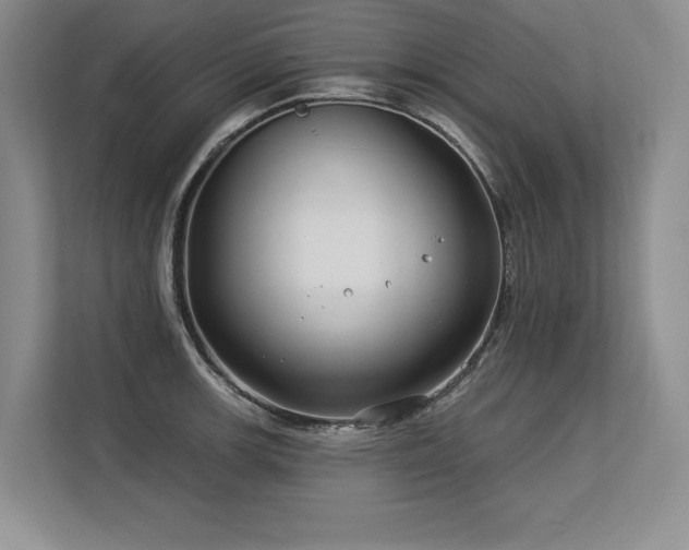 X0000113581139200909181302
