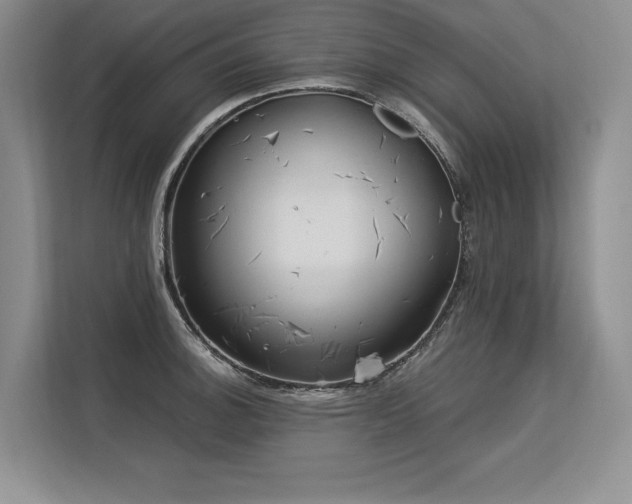 X0000113581140200909181302