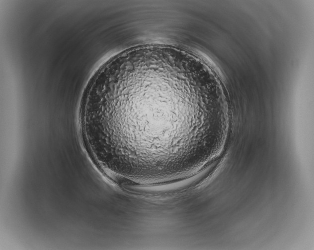 X0000113581141200909181302