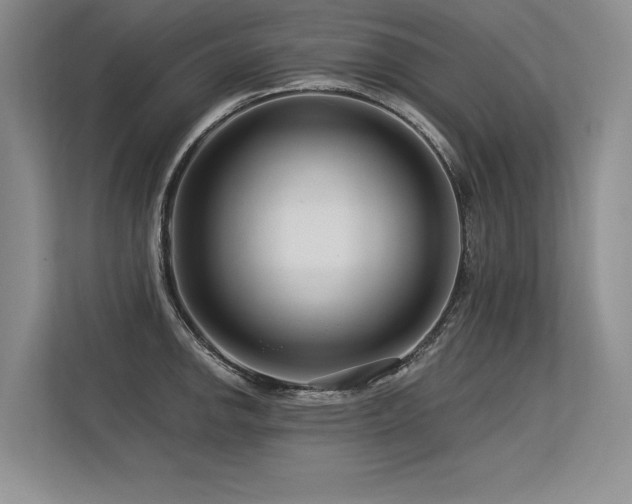 X0000113581142200909181302