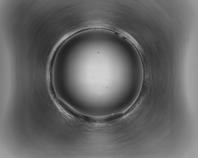X0000113581144200909181302