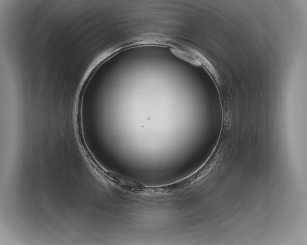 X0000113581146200909181302