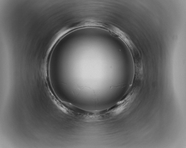 X0000113581148200909181302