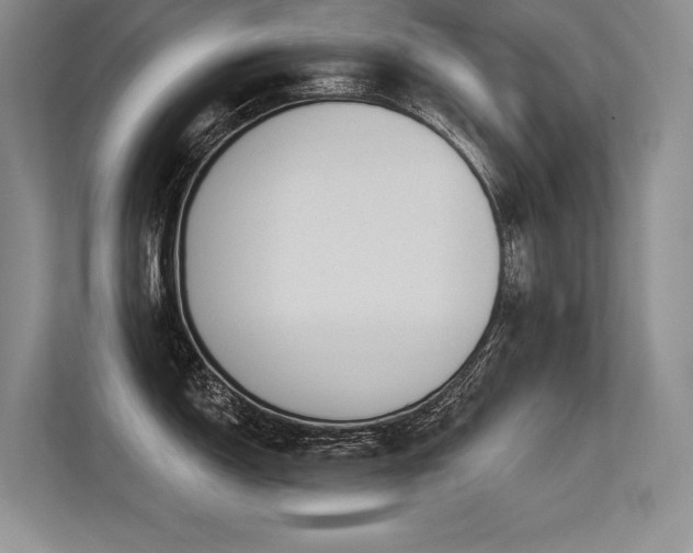X0000113581150200909181302