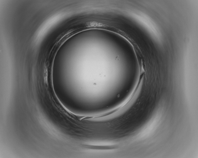 X0000113581151200909181302