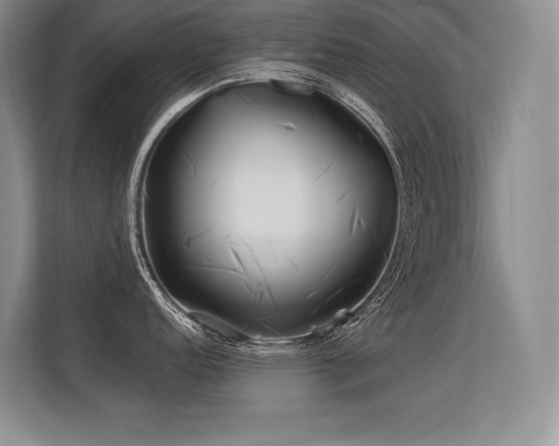 X0000113581152200909181302