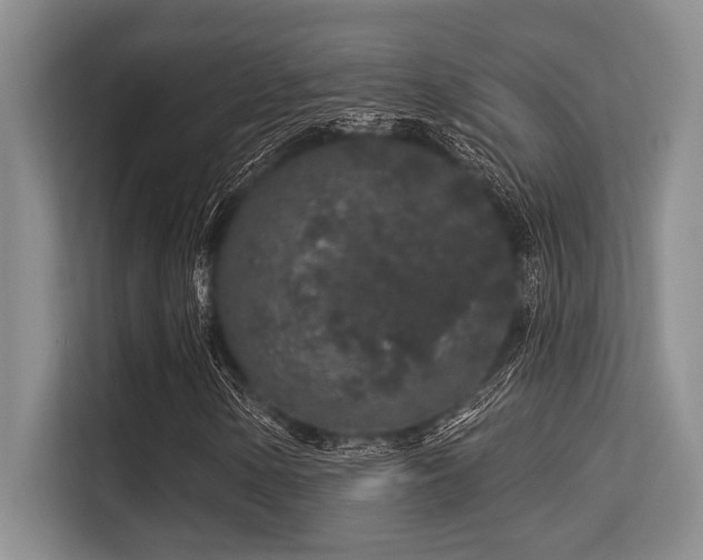 X0000113581154200909181301