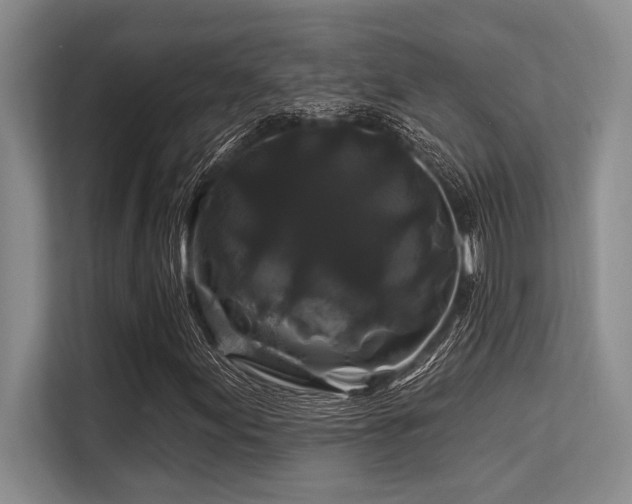X0000113581155200909181301