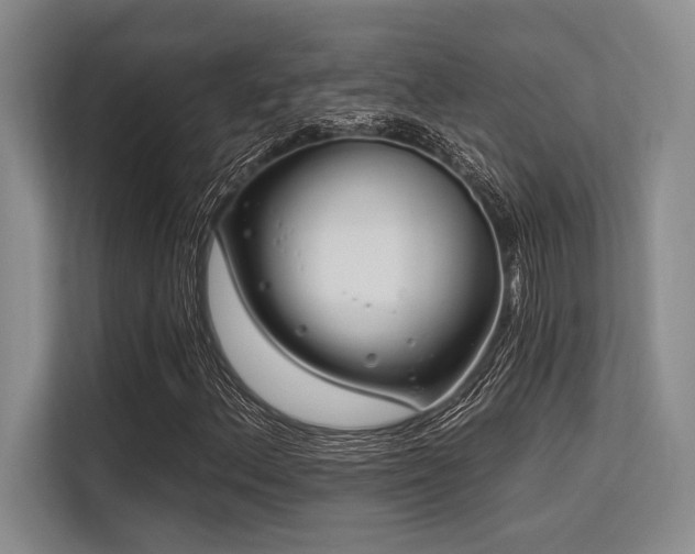 X0000113581156200909181301