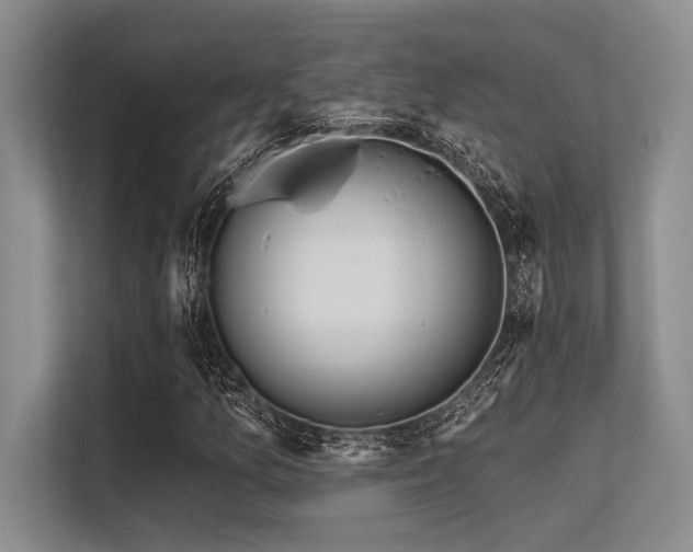 X0000113581157200909181301