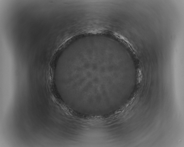 X0000113581158200909181301