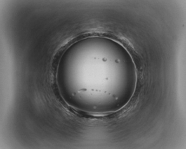 X0000113581159200909181301