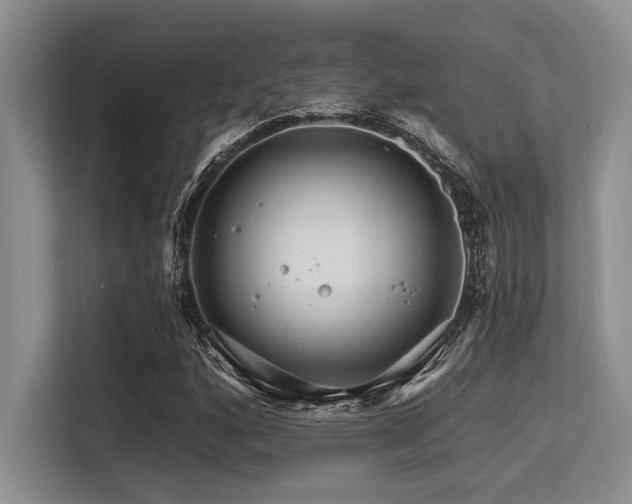 X0000113581160200909181301