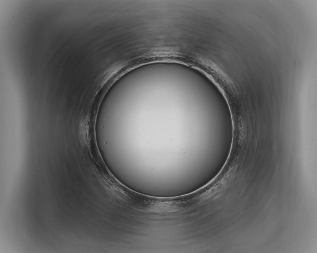 X0000113581162200909181301