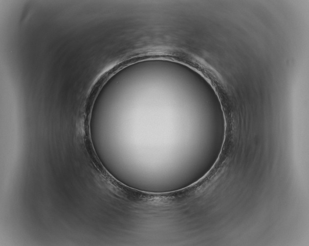 X0000113581166200909181301