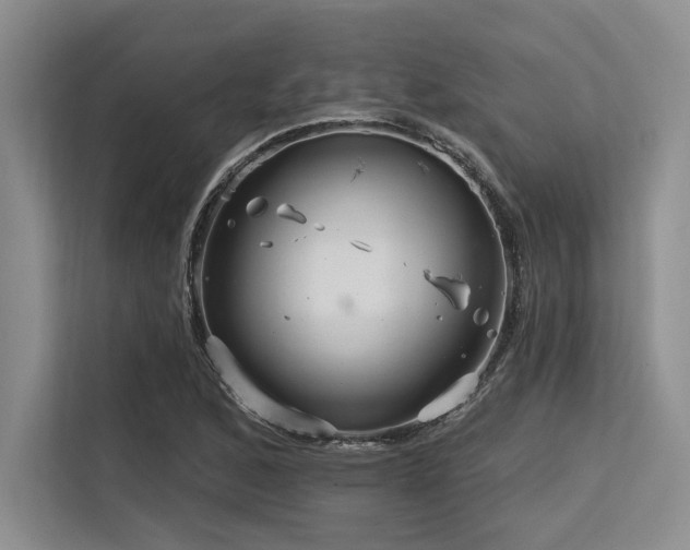 X0000113581168200909181301