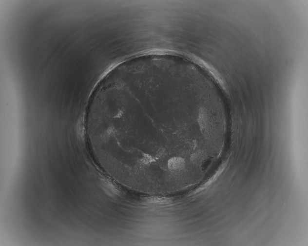 X0000113581170200909181301