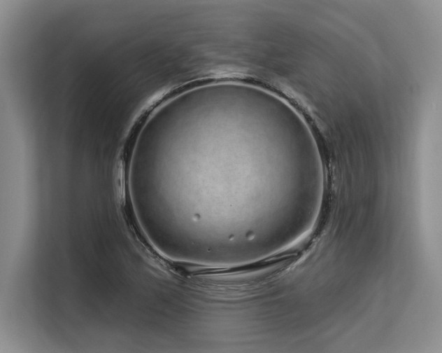 X0000113581171200909181301