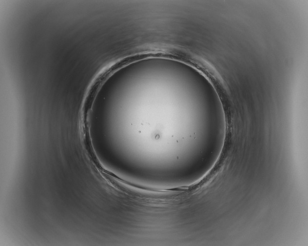 X0000113581172200909181301