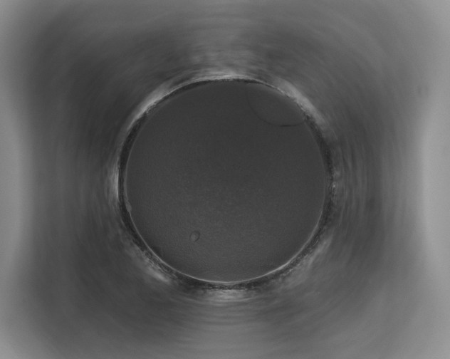 X0000113581173200909181301