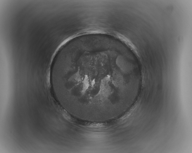 X0000113581174200909181301