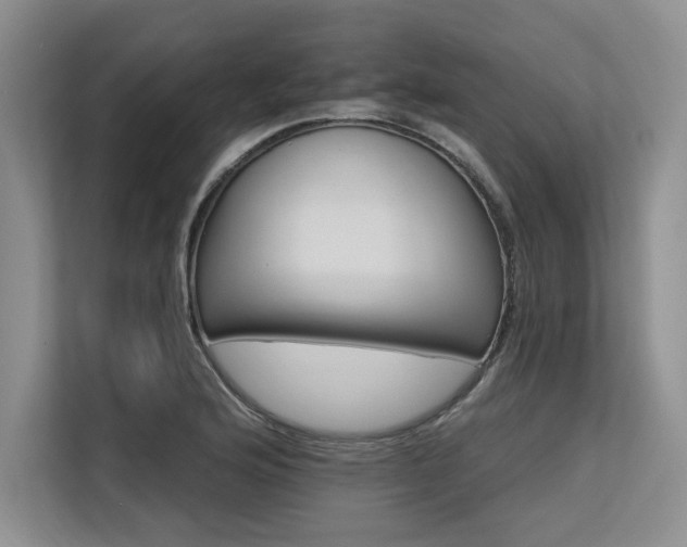 X0000113581176200909181301