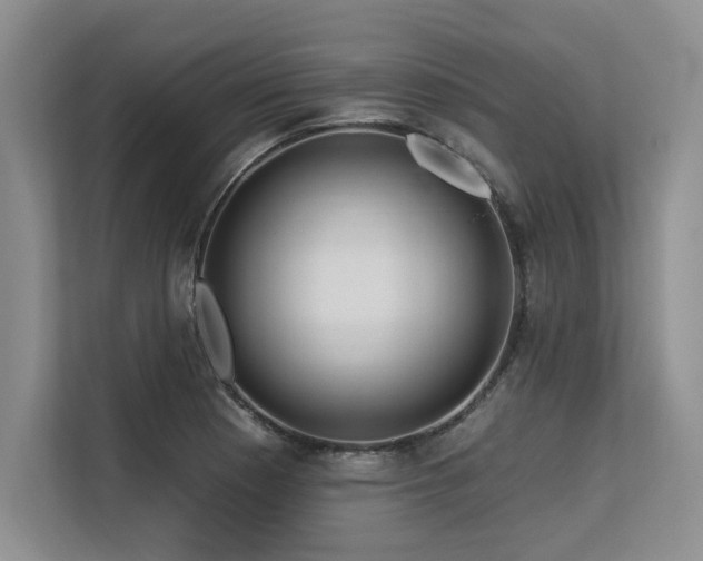 X0000113581177200909181301