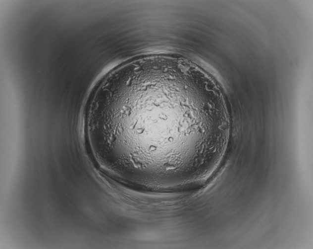 X0000113581179200909181301