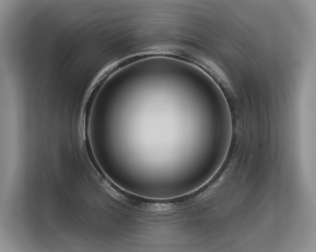 X0000113581180200909181301