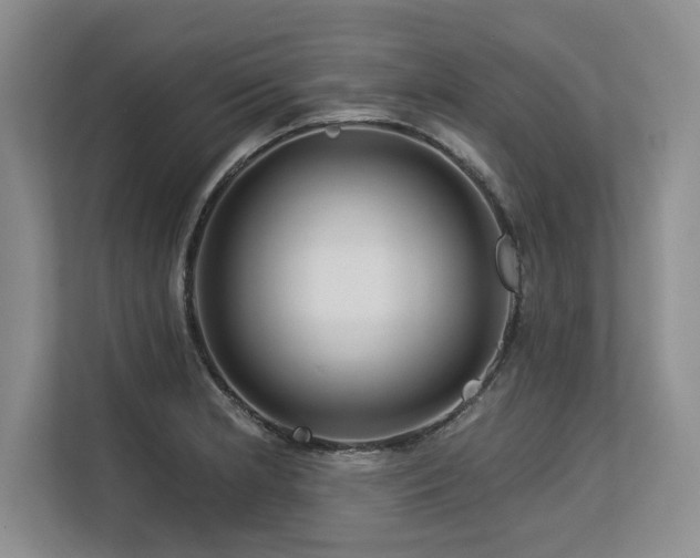 X0000113581181200909181301