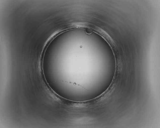 X0000113581182200909181301