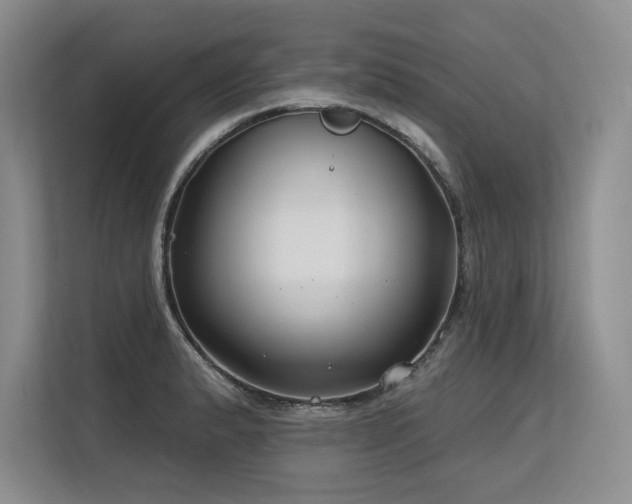 X0000113581183200909181301