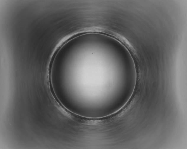 X0000113581184200909181301