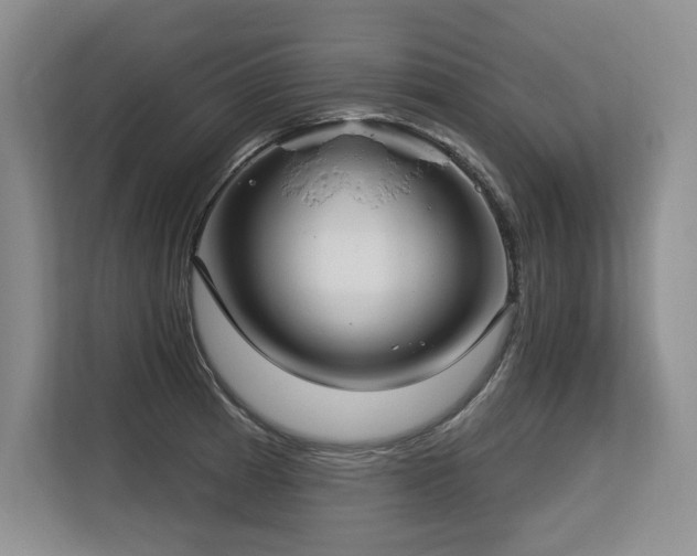 X0000113581185200909181301
