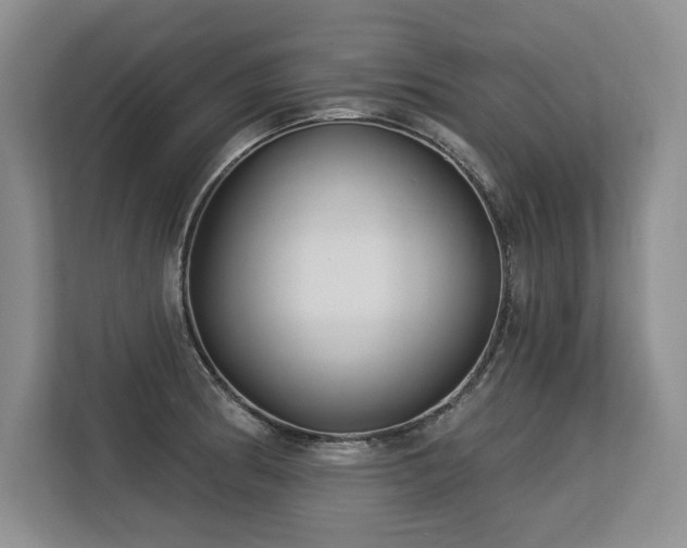 X0000113581186200909181301