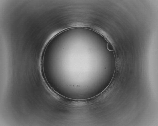 X0000113581187200909181301