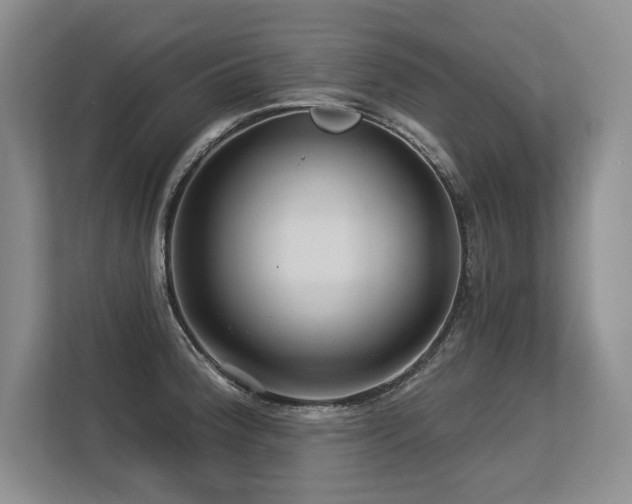 X0000113581188200909181301