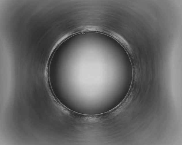 X0000113581190200909181301