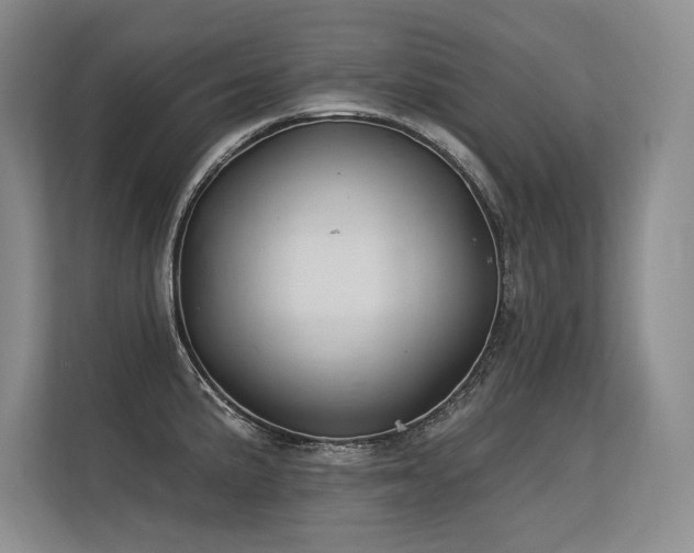X0000113581191200909181301