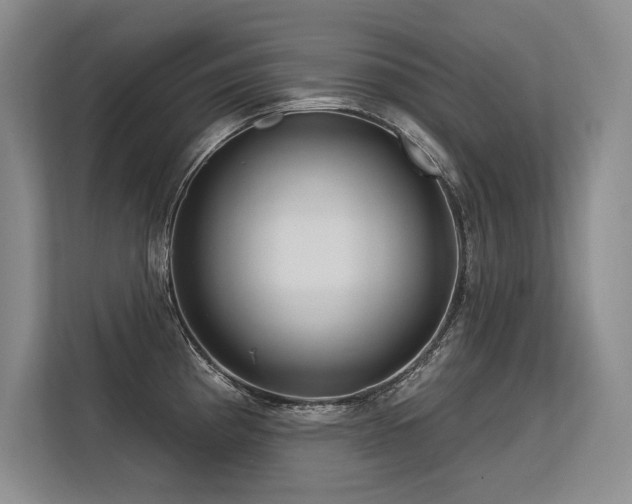 X0000113581193200909181301