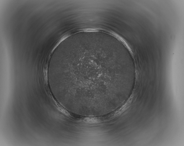 X0000113581194200909181301