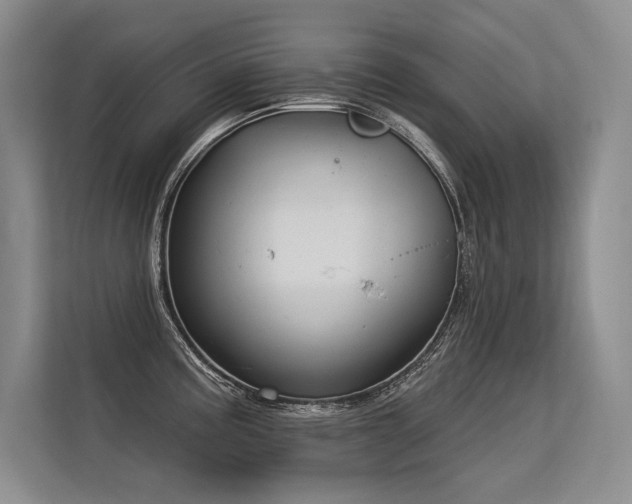 X0000113581195200909181301