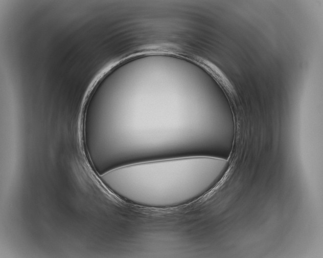 X0000113581196200909181301